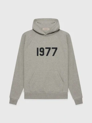 Essentials 1977 Dark Hoodie Gray